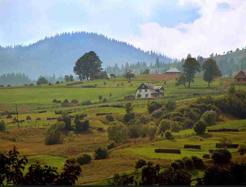 鹤岗师范高等专科学校校花裴清辞