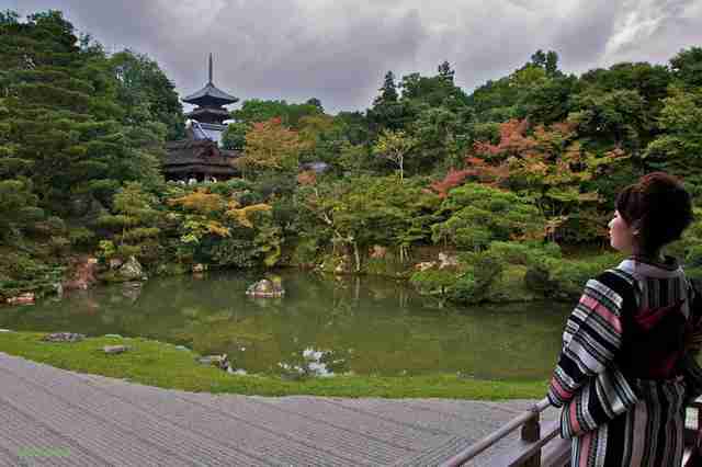 绵阳飞行职业学院校花舒知予