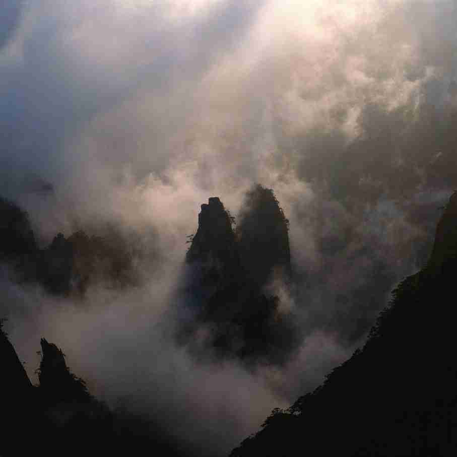 朝阳师范学院校花江疏影 朝阳师范学院校花江疏影