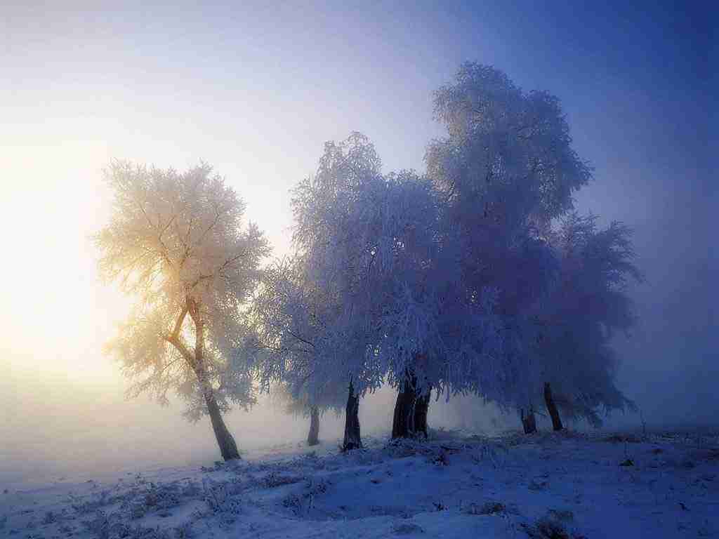 科尔沁艺术职业学院校花江晚柠