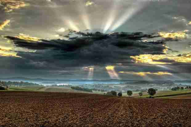 广东女子职业技术学院校花温景然