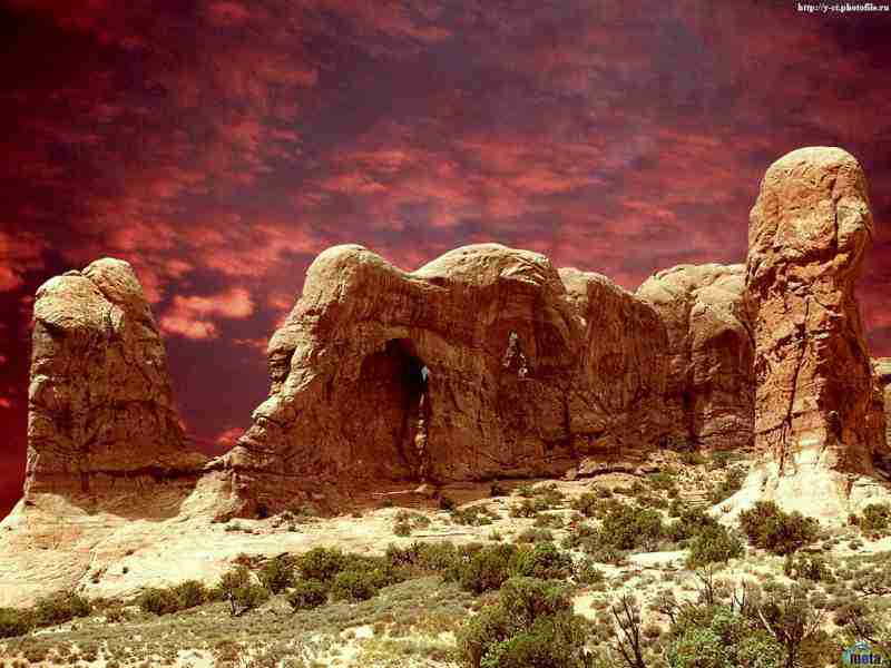 广西电力职业技术学院校花陆知南 广西电力职业技术学院校花陆知南