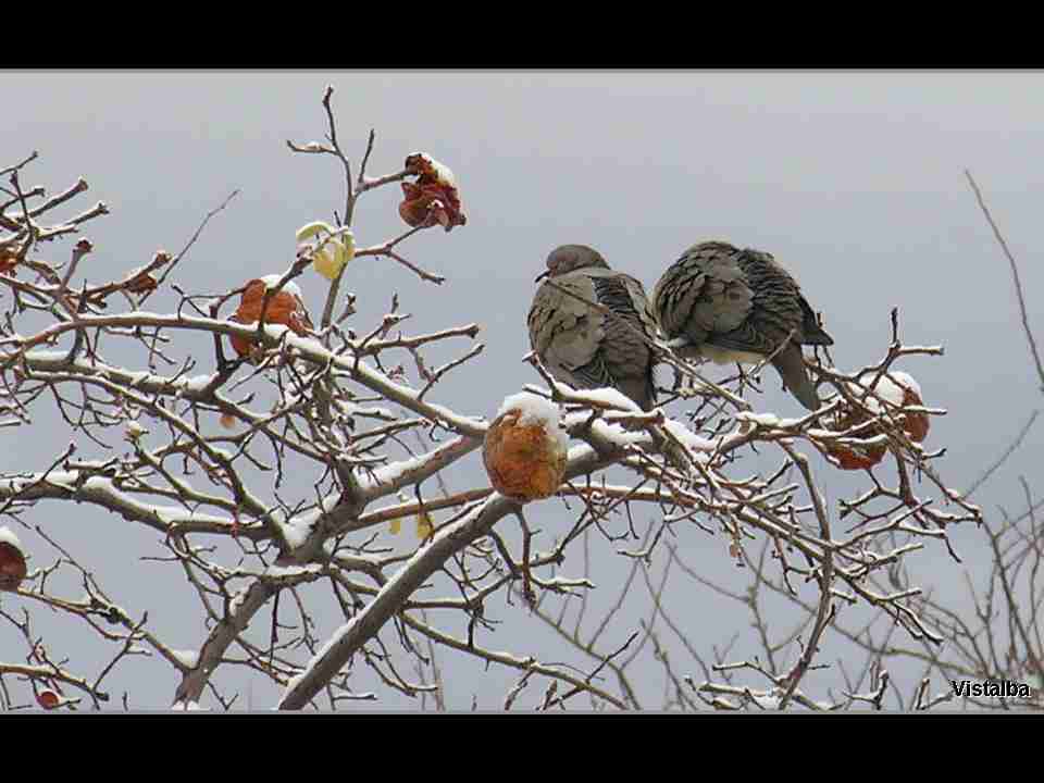 商丘幼儿师范高等专科学校校花喻乐柠